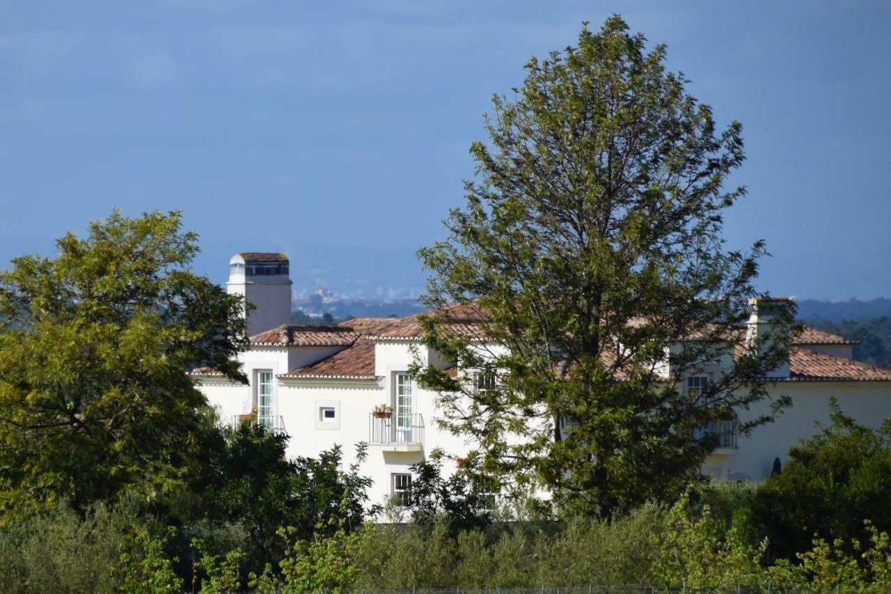 Hotel Quinta De Catralvos Azeitao Esterno foto
